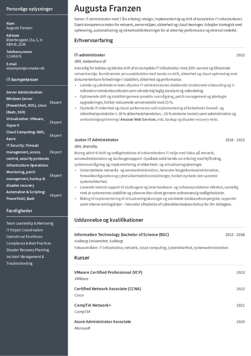 kompetencer CV Eksempel 3