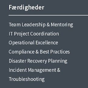 kompetencer CV eksempel 1