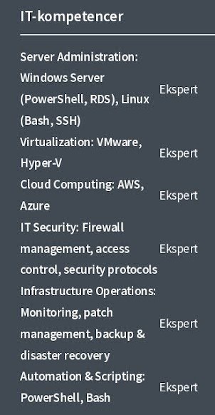 kompetencer CV eksempel 2