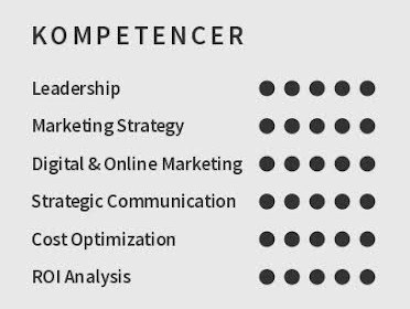 kompetencer CV eksempel 3
