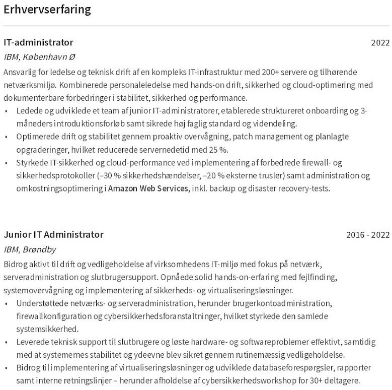 kompetencer CV erhvervserfaring