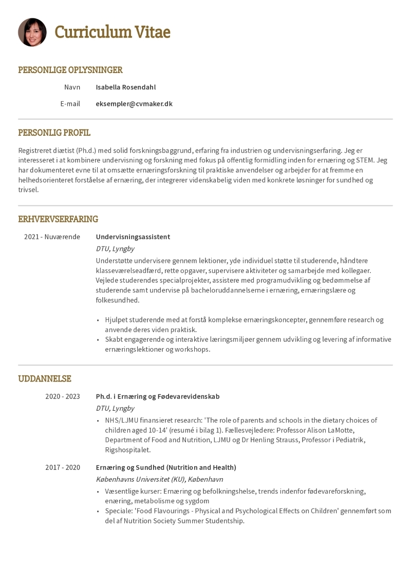 Eksempel på Tre-siders CV-skabelon 1 Eksempel på Tre-siders CV-skabelon 1