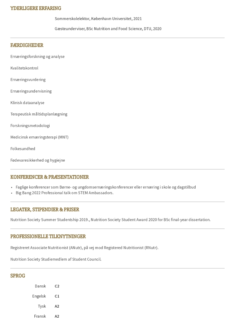 Eksempel på Tre-siders CV-skabelon 2 Eksempel på Tre-siders CV-skabelon 2